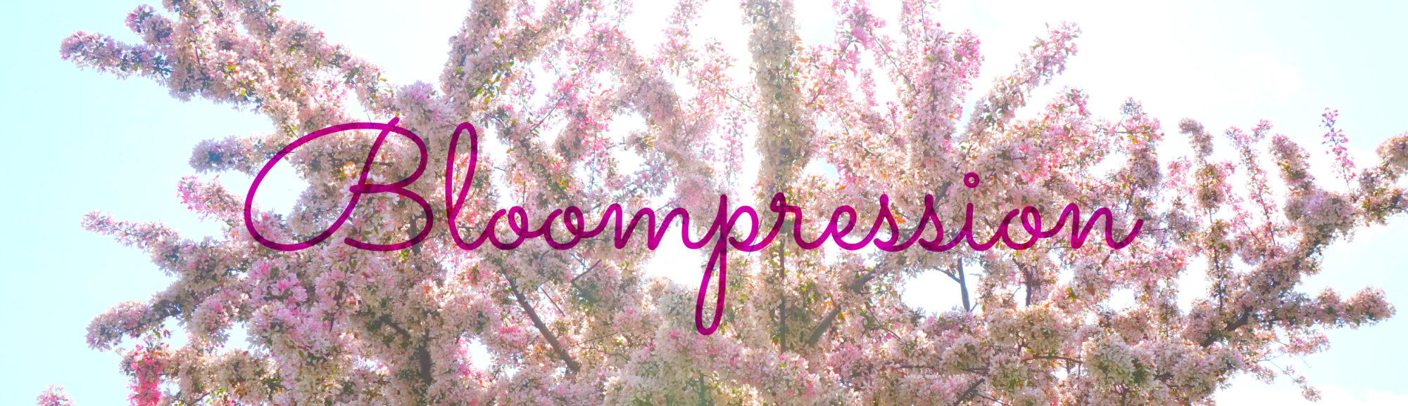 Bloompression